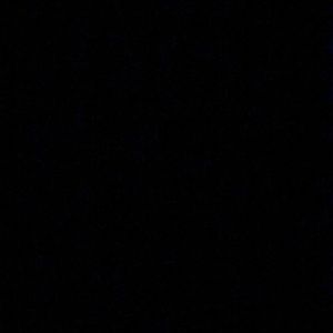 Meet your Posher, Gavin